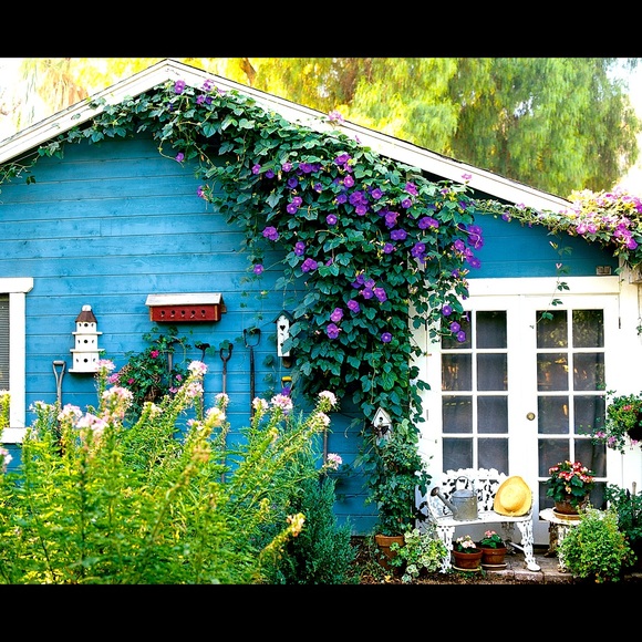 Meet your Posher, E.B - Picture 1 of 1